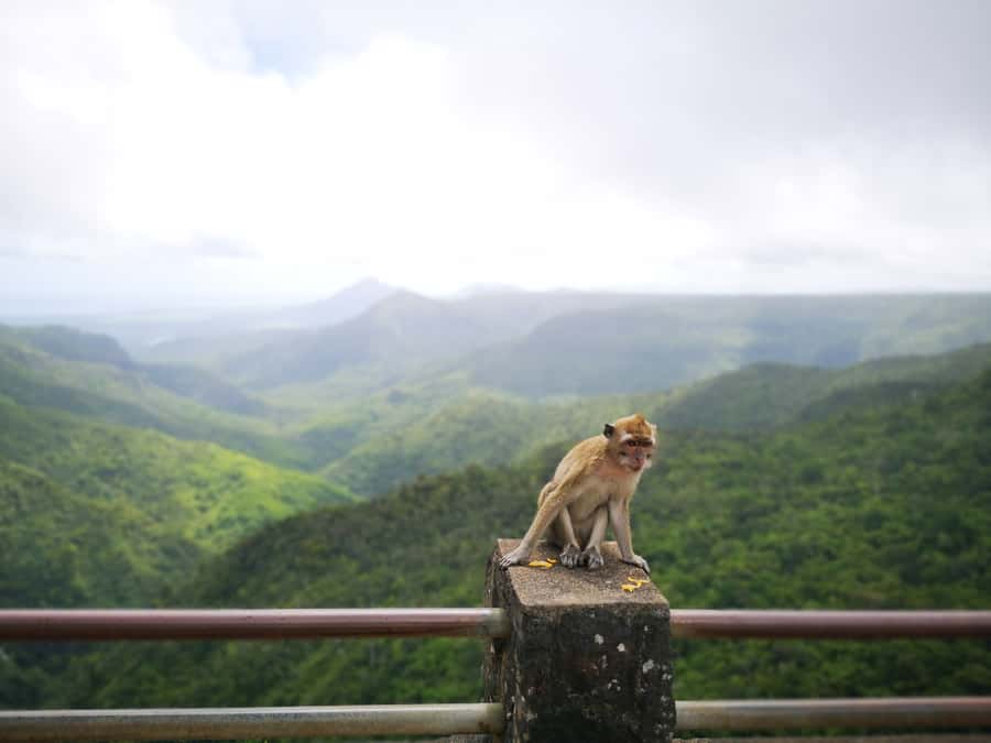 Mauritius: Private South Tour with Pickup - Lunch, local advice, and the value of a private guide