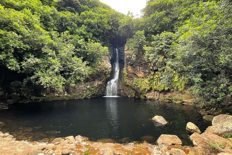 Mauritius: Private South-West Nature & Viewpoints with Lunch - Black River Gorges shows Mauritius at its wildest