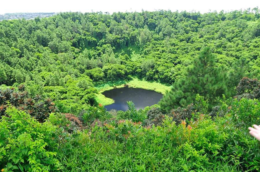 Mauritius: Private Southwest Chamarel Highlights Tour - Mare aux Vacoas adds a quieter viewpoint