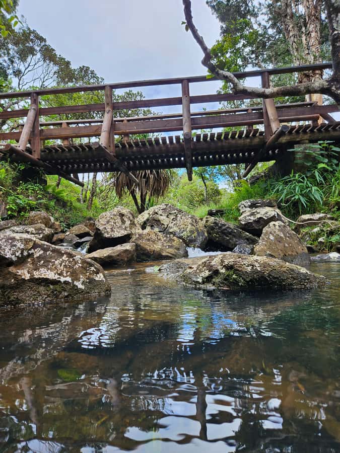 Mauritius: Private Southwest Chamarel Highlights Tour - Alexandra Falls gives you the big mountain view