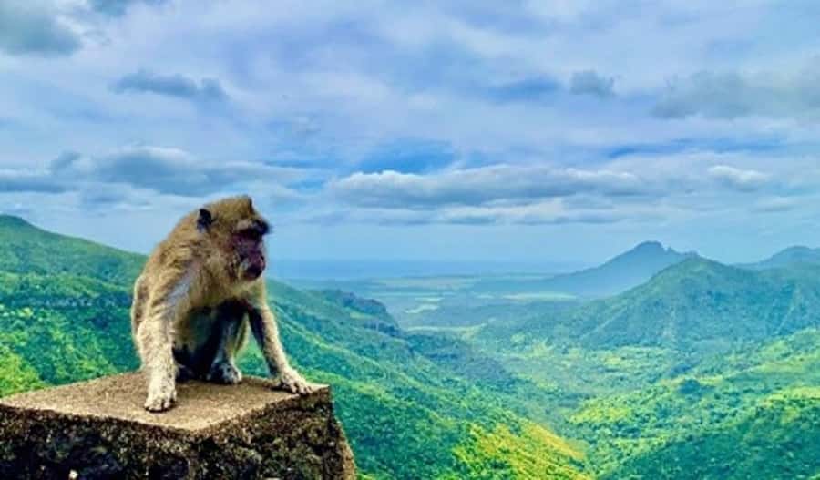Mauritius: Private Southwest Day Tour - What the price includes, and what it does not