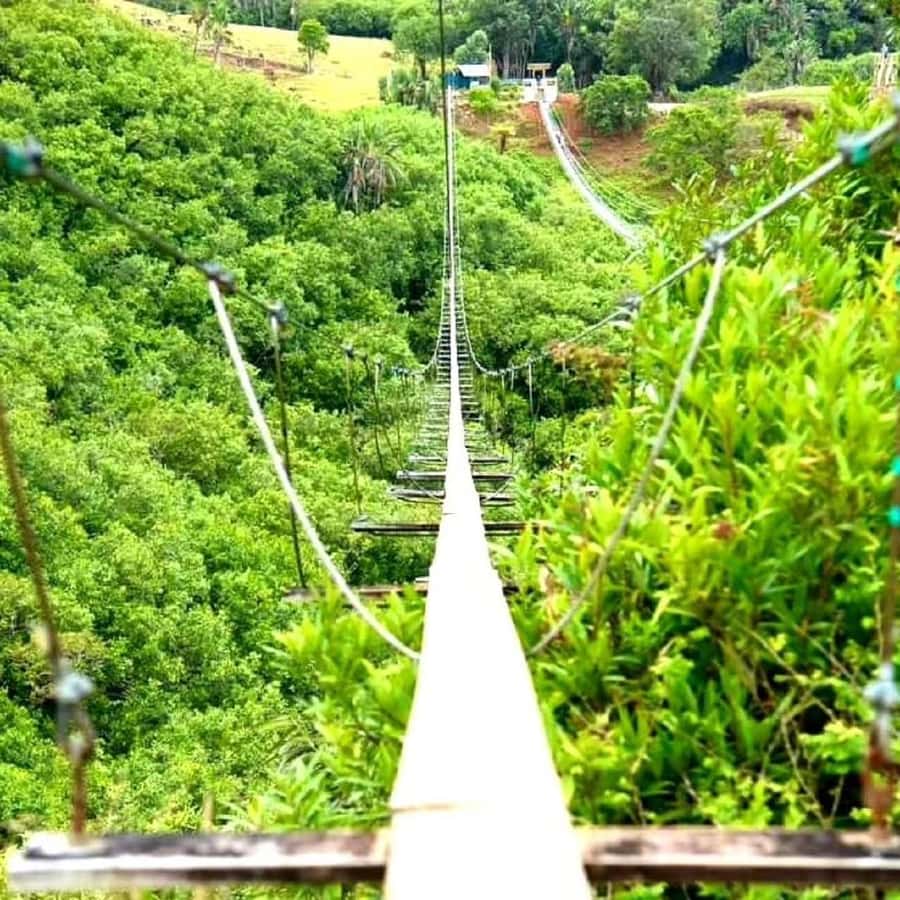 Mauritius: Private Southwest Day Tour - Trou aux Cerfs: a quiet start above Curepipe