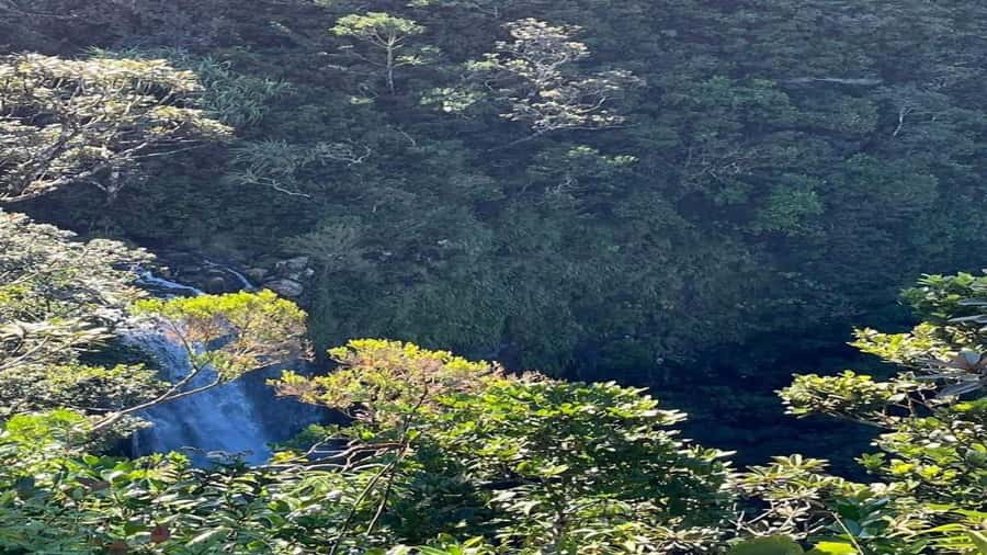 Mauritius: private southwest tour - Grand Bassin and the Ganga Talao temple