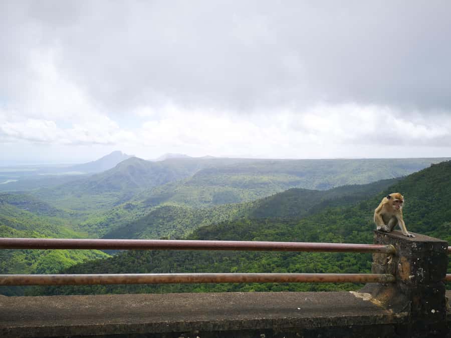 Mauritius: Private Southwest Tour with Pickup - Chamarel’s 7 Coloured Earth: the final visual surprise
