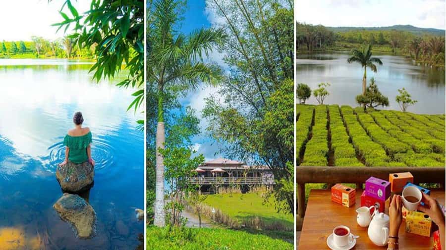Mauritius : private wild south fullday tour - A Private Route Through Mauritius’s Wild South
