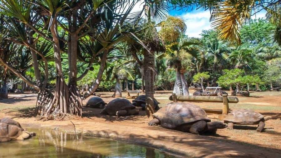 Mauritius : private wild south fullday tour - St Aubin’s Colonial House and Local Rum