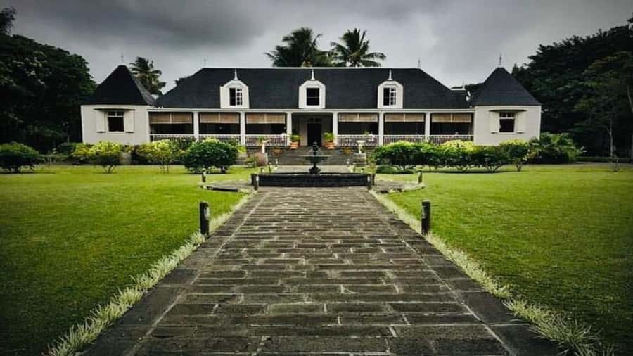 Mauritius : private wild south fullday tour - Bois Cheri Tea Factory and the Reality of Tea Tasting