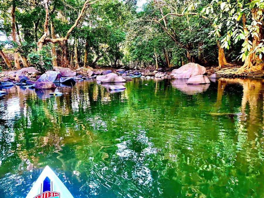 Mauritius: River Guided Kayak Tour with Monkeys - What the full three hours can include