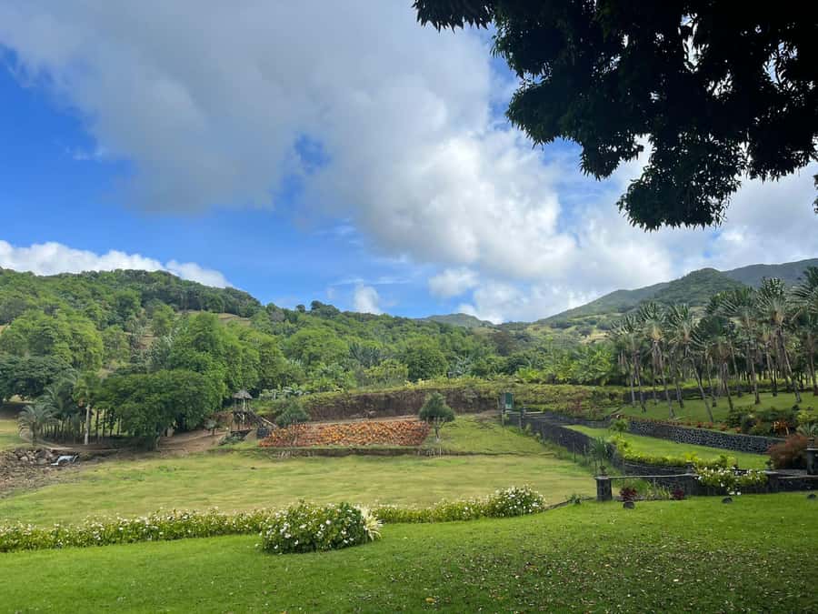 Mauritius: Scenic Bike Trails with Gear & Shuttle - The 4x4 shuttle solves the hardest part