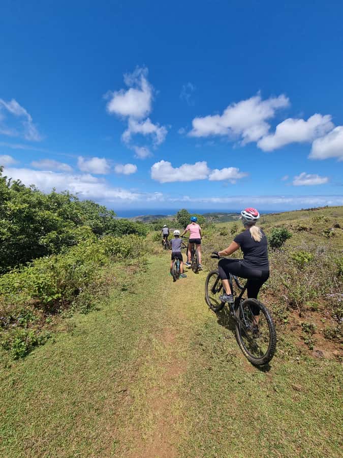 Mauritius: Scenic Bike Trails with Gear & Shuttle - What the three-hour session feels like