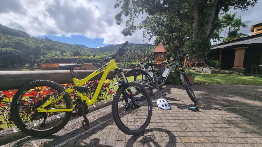 Mauritius: Scenic Bike Trails with Gear & Shuttle - Who will enjoy this most