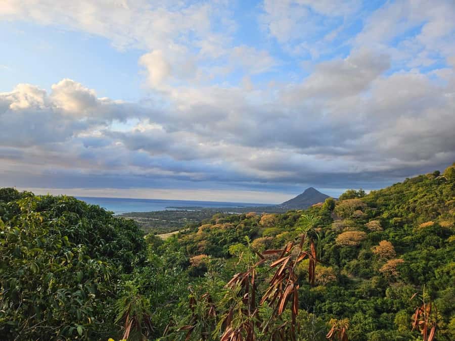 Mauritius: Sights of the South Private Tour with Rum Tasting - Mare aux Vacoas: a quiet pause in the highlands