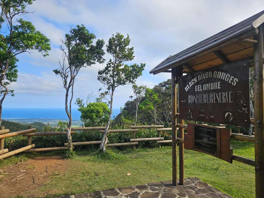 Mauritius: Sights of the South Private Tour with Rum Tasting - Alexandra Falls in Black River Gorges National Park