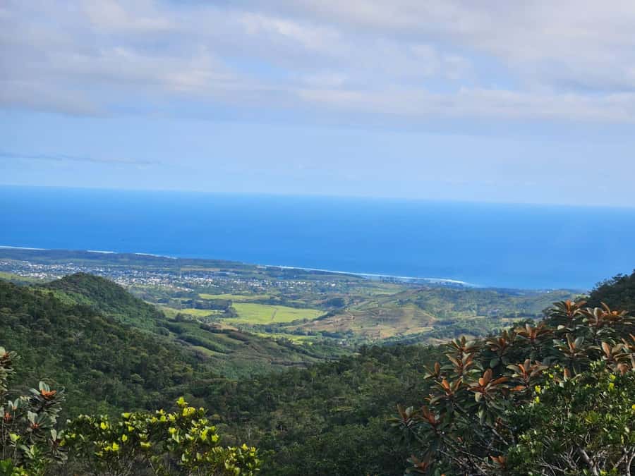 Mauritius: Sights of the South Private Tour with Rum Tasting - Chamarel Village and the famous mountain scenery