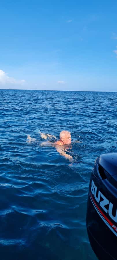 Mauritius: Snorkel and Swim with Dolphins on Speedboat Tour - Key things to know before you book
