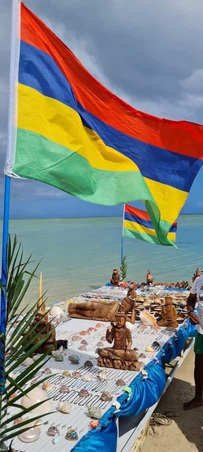 Mauritius: Snorkel and Swim with Dolphins on Speedboat Tour - Getting into the water with snorkeling gear