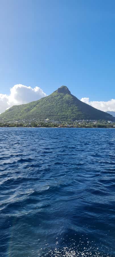 Mauritius: Snorkel and Swim with Dolphins on Speedboat Tour - What the two-hour schedule really includes