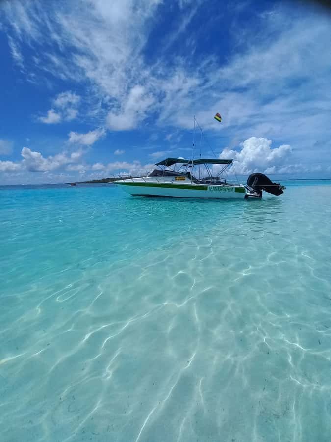 Mauritius: Snorkeling with turtles Le Transporteur speedboat - Why Trou aux Biches is the focus