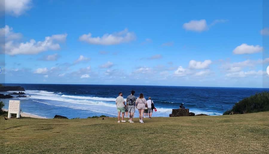 Mauritius: South Coast Tour with Tea Factory & Gris Gris - Why southern Mauritius deserves a full day