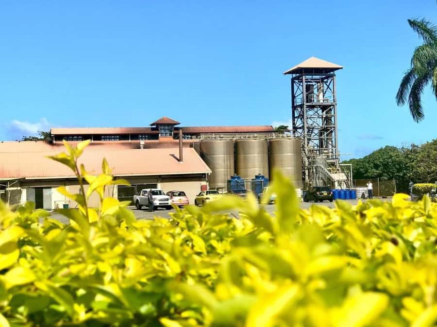 Mauritius: South of the Island Private Full-Day Tour - Rhumerie de St Aubin: Mauritius in a tasting glass