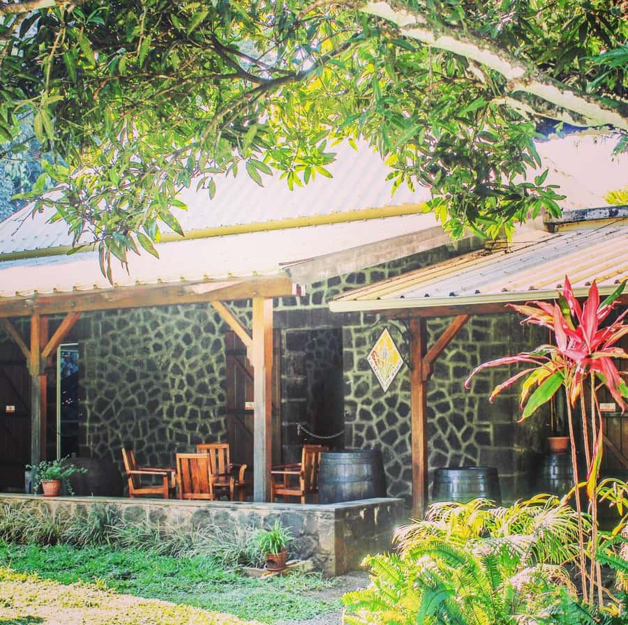 Mauritius: South of the Island Private Full-Day Tour - Bois Chéri tea factory and the panoramic restaurant