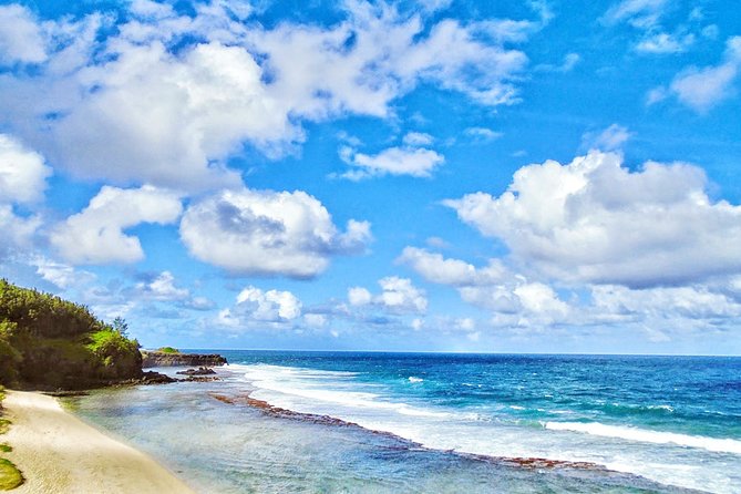 Mauritius South Tour Including Blue Bay Glass Bottom Boat & Snorkelling - La Vanille Nature Park: crocodiles, tortoises, and insects