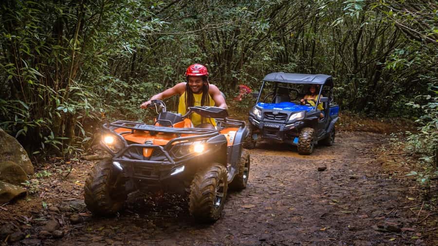 Mauritius: Southern Tour w/La Vanille & Le Morne Beach - Valles des Couleur: add adventure to the day