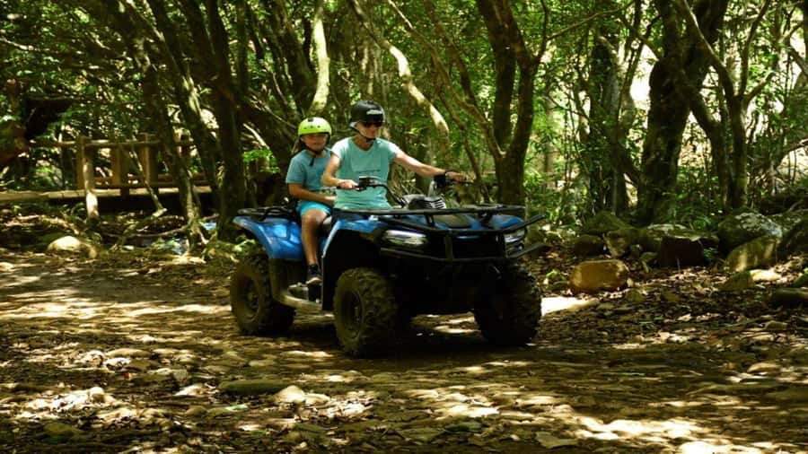 Mauritius: Southern Tour w/La Vanille & Le Morne Beach - La Vanille Nature Park and its giant tortoises