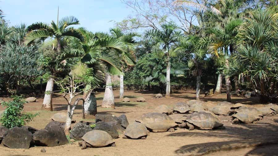 Mauritius: Southern Tour w/La Vanille & Le Morne Beach - Gris Gris and the southern coastal road