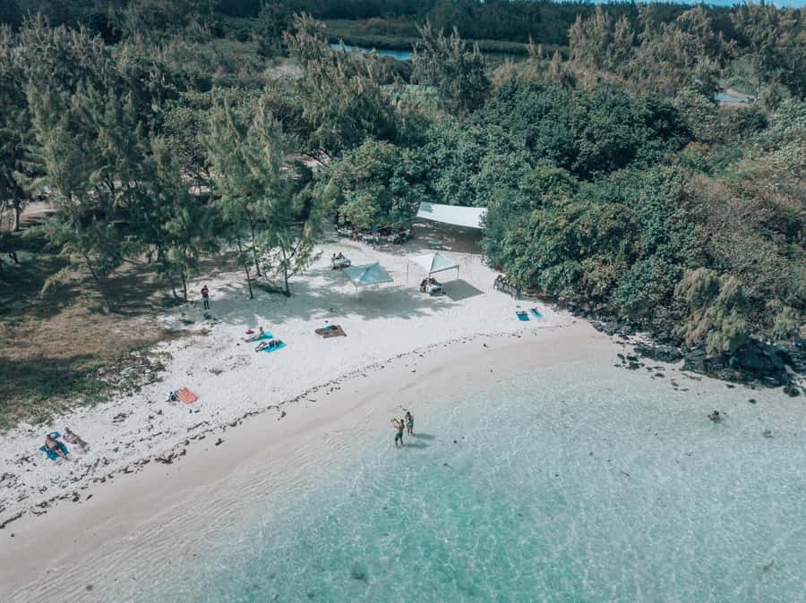 Mauritius: Speedboat Tour to Ile aux Cerfs with Lunch - Free time on Ile aux Cerfs