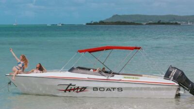 Speedboat Tour to Ile aux Cerfs with Lunch