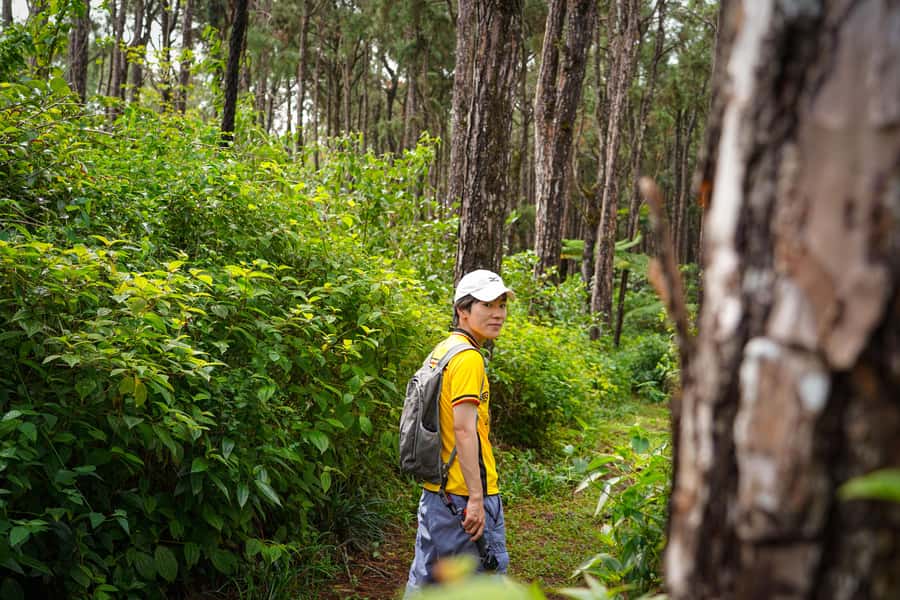 Mauritius: Sunrise Mountain Hike with Southwest Road-trip - Breakfast and a practical pause after the climb