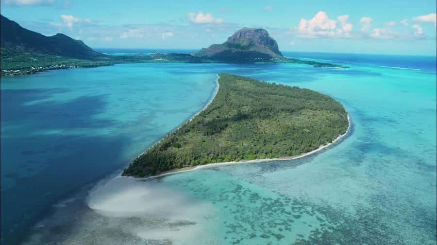 Mauritius: Swim with Dolphins Full-Day with Lunch/Drinks - Key points to know before you book