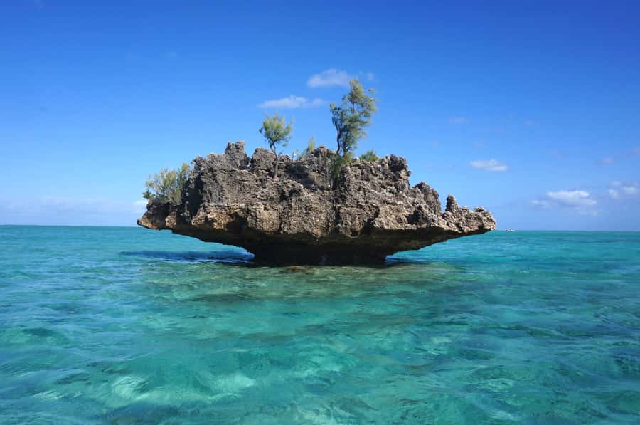 Mauritius: Swim with Dolphins Full-Day with Lunch/Drinks - A fast ride along Mauritius’ west coast