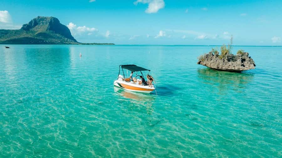 Mauritius: Swim with Dolphins Full-Day with Lunch/Drinks - Watching dolphins, then entering the water