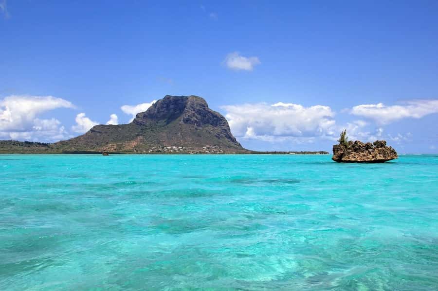 Mauritius: Swim with Dolphins Full-Day with Lunch/Drinks - BBQ lunch and beach time on Île aux Bénitiers
