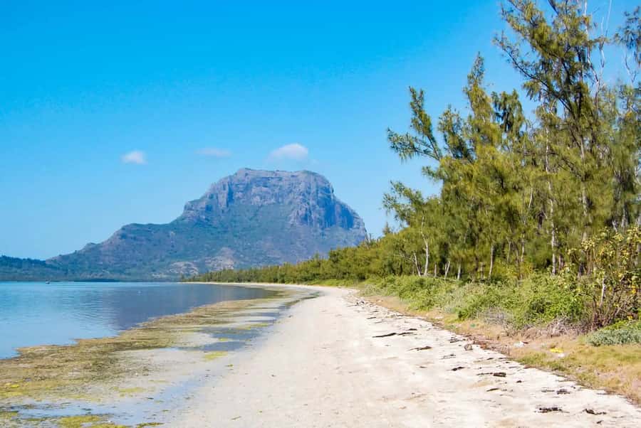 Mauritius: Swim with Dolphins Full-Day with Lunch/Drinks - Crystal Rock at about 1:45