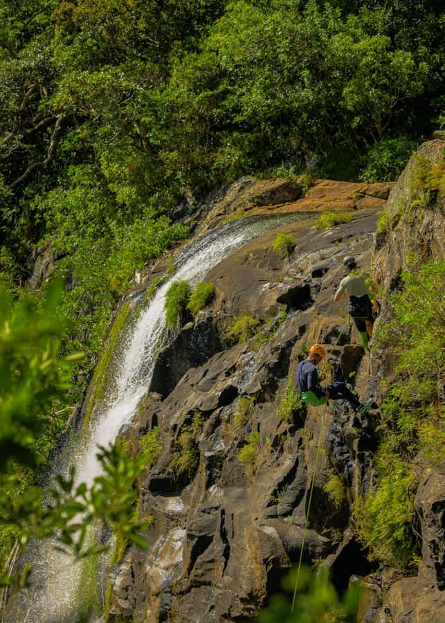 Mauritius: Tamarind Falls Canyoning Adventure - What the three-hour route feels like