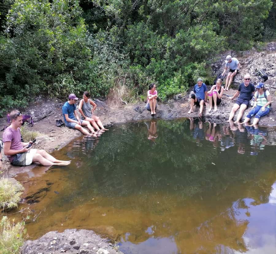 Mauritius: Tamarind Falls Guided Hike with Swim and Lunch - The fifth waterfall: choose the jump or the natural ladder