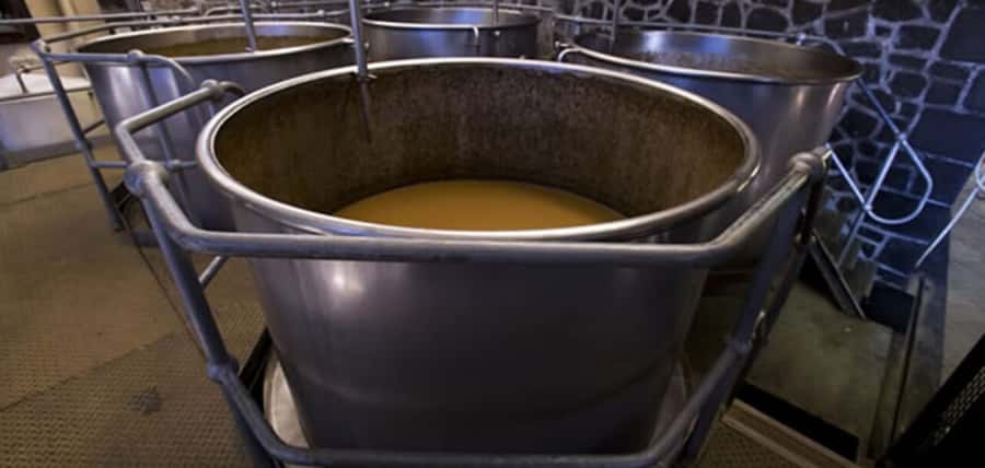 Mauritius: Tea and Sugar Plantation Guided Tour with Lunch - Who should book this plantation tour?