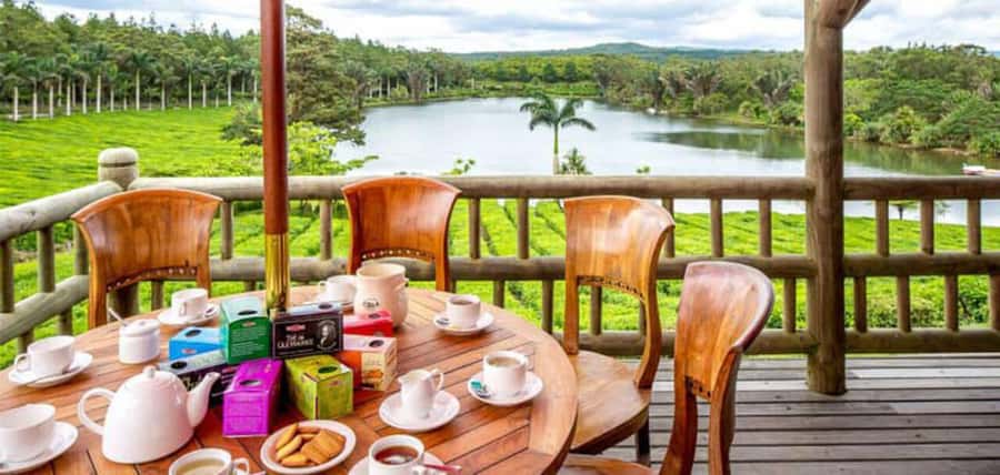Mauritius: Tea and Sugar Plantation Guided Tour with Lunch - Domaine des Aubineaux and the old colonial setting
