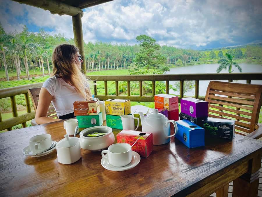 Mauritius: Tea, Rum and Vanilla Route with Lunch and Pickup - Seeing tea made at Bois Cheri