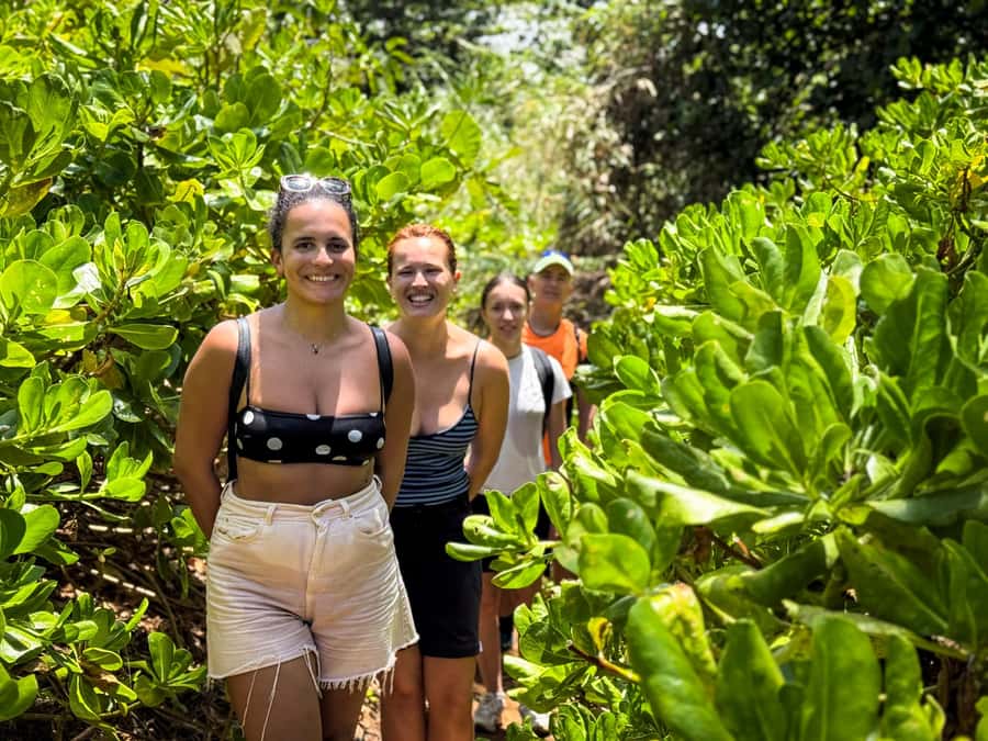 Mauritius: The Wild South Hiking Tour with a Guide - Who will enjoy this hike most