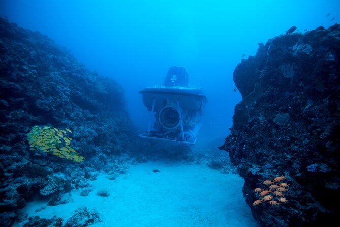 Mauritius Unique Submarine Tour - Key points before you book
