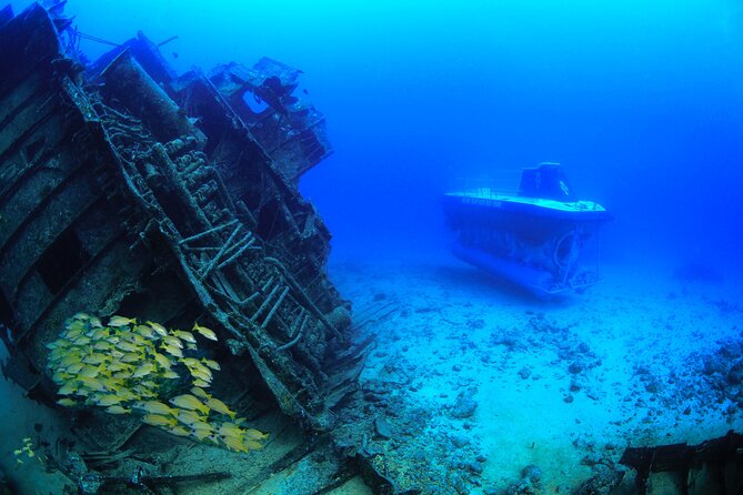 Mauritius Unique Submarine Tour - Why this Mauritius submarine trip is different
