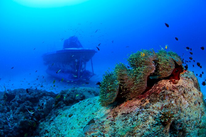 Mauritius Unique Submarine Tour - The 15-minute shuttle to the mothership