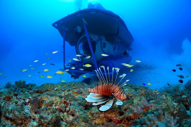 Mauritius Unique Submarine Tour - Is $170 a fair price?