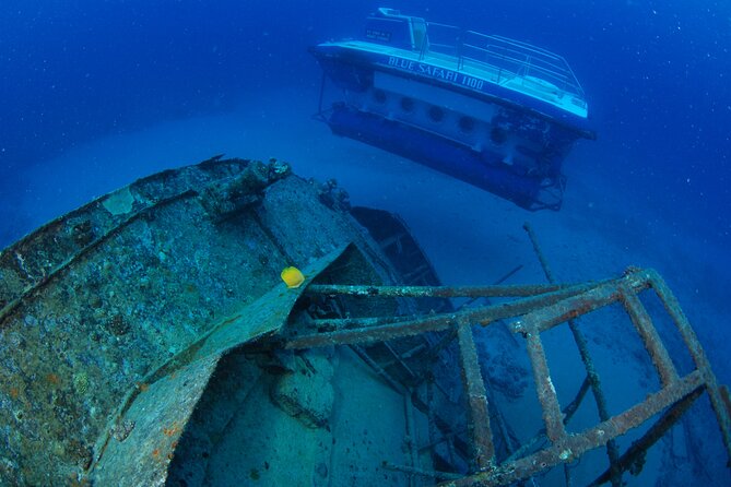 Mauritius Unique Submarine Tour - Who will enjoy this most?