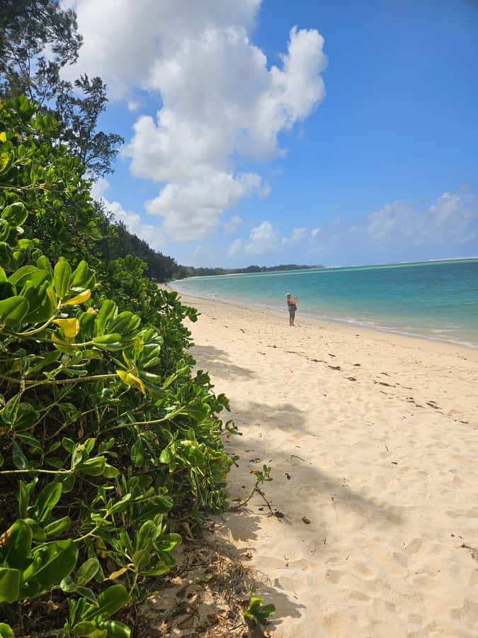 Mauritius: Vanilla Park & Beaches Tour with Extra Option - Who will enjoy this private Mauritius tour?