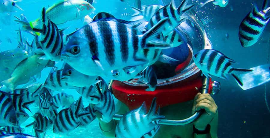 Mauritius: Watersport Adventure Day with Lunch and Pickup - What to bring and how to prepare